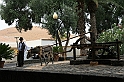 Kanary_2010 042